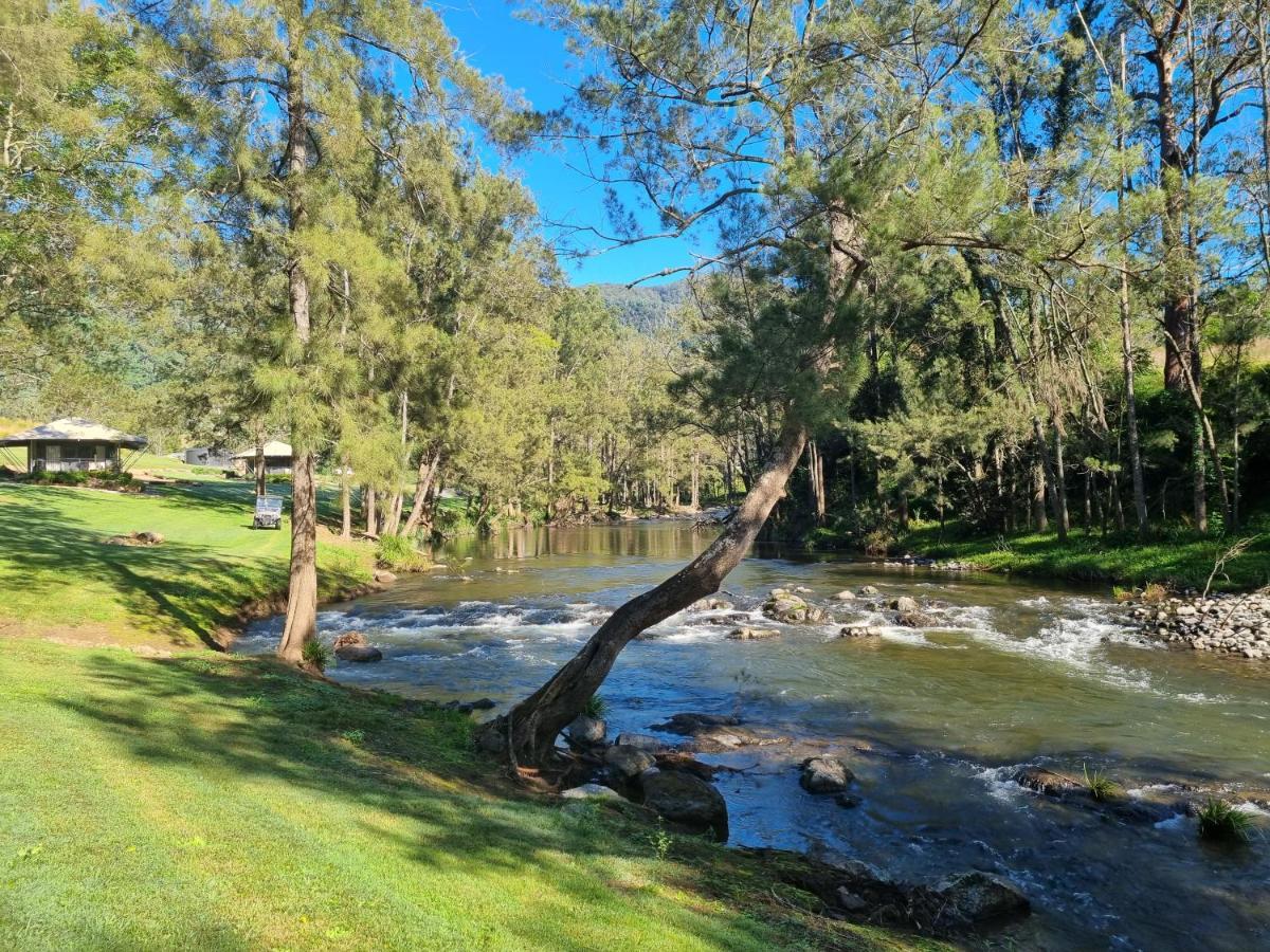 Amaroo Escape Coneac